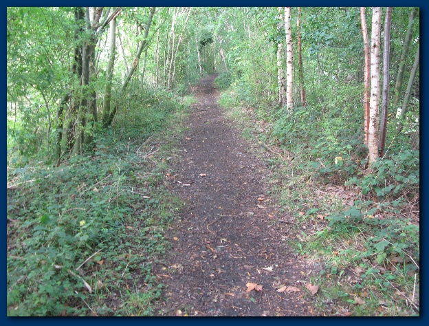 600x449 pixels (213K)